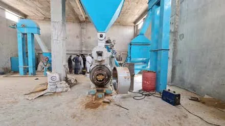 Poultry & Livestock Feed Line